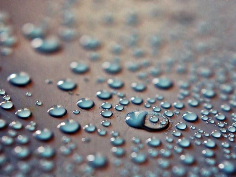 核爆后的彩虹<br>hzldzsi.cn 变异生物图鉴